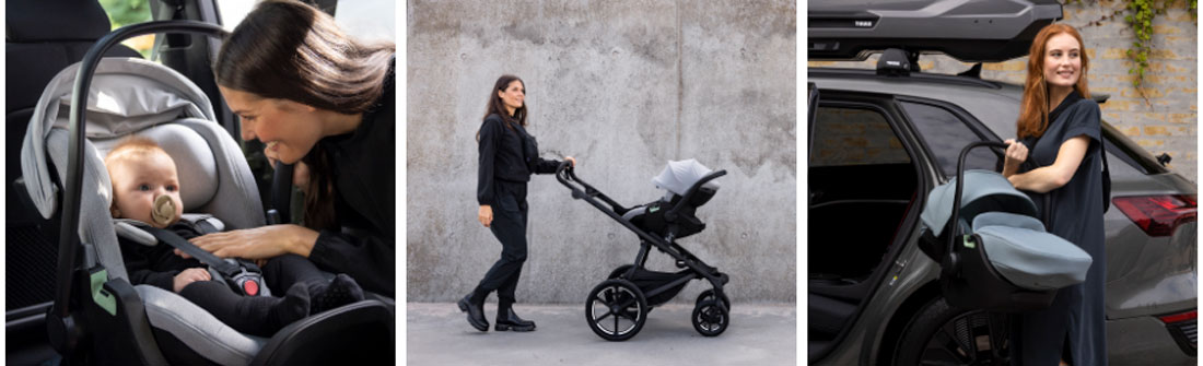 Thule Maple