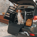 Klietka na prepravu psov Thule Allax Threshold M
