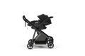 Thule Maple Black
