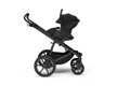 Thule Maple Black